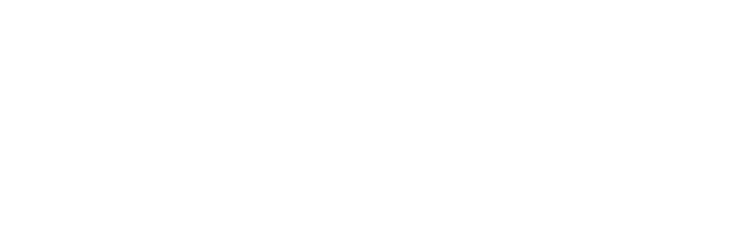 CHP Almanya Gençlik Kolları